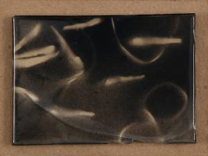 japanese fish IV, 2013_spray/resin on paper_12x16