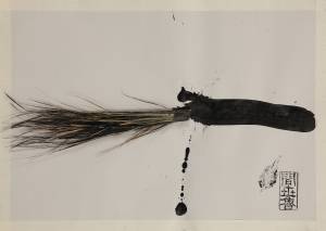 palm II, 2012_vegetable/indian ink on paper_50x70