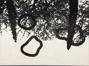 llac, 2012_indian ink on paper_60x77