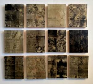infections and shots, 2015_monotypes on wood and hunting pellets_22x27_(12 pieces) 